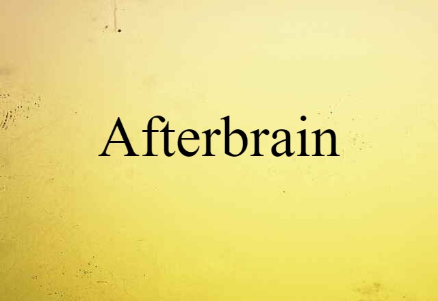 Afterbrain (noun) Definition, Meaning & Examples