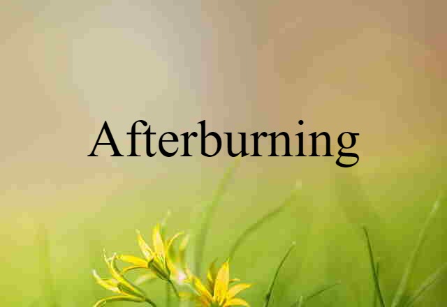 Afterburning (noun) Definition, Meaning & Examples