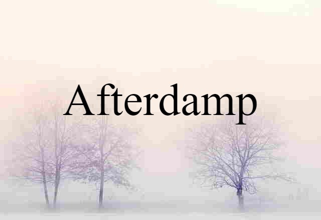 Afterdamp (noun) Definition, Meaning & Examples