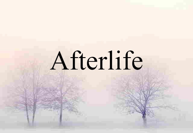 Afterlife (noun) Definition, Meaning & Examples