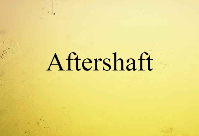 aftershaft