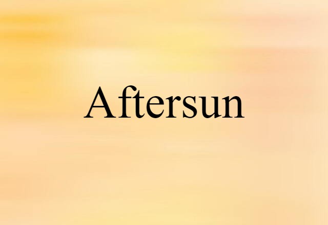 Aftersun (noun) Definition, Meaning & Examples