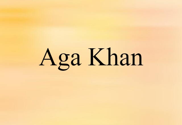 Aga Khan (noun) Definition, Meaning & Examples