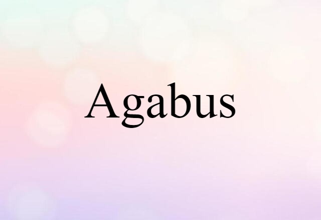 Agabus (noun) Definition, Meaning & Examples