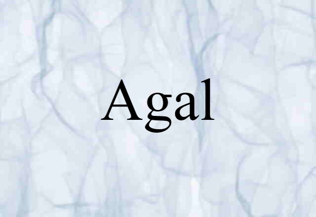 Agal (noun) Definition, Meaning & Examples