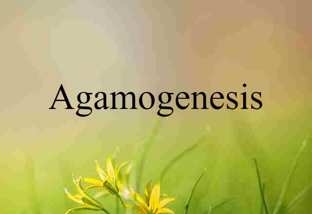 agamogenesis