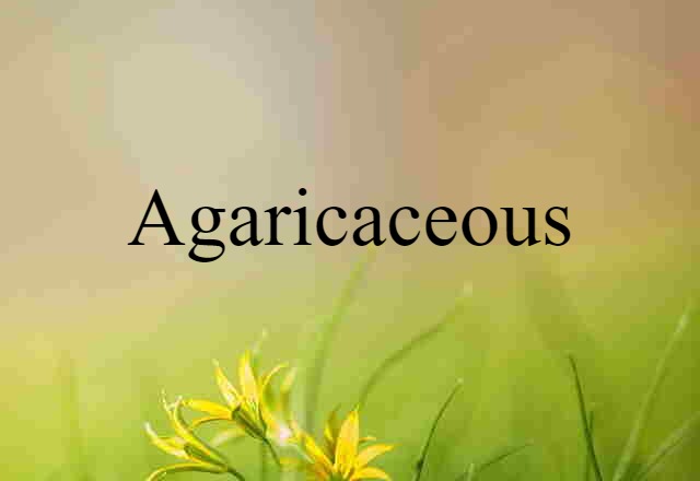 agaricaceous