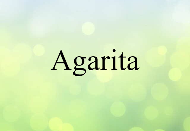 Agarita (noun) Definition, Meaning & Examples