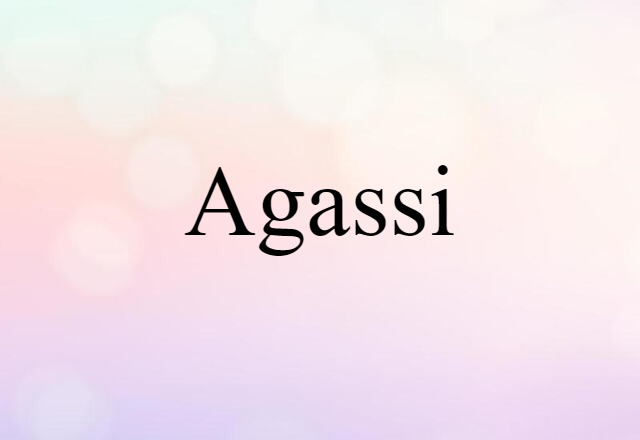 Agassi (noun) Definition, Meaning & Examples