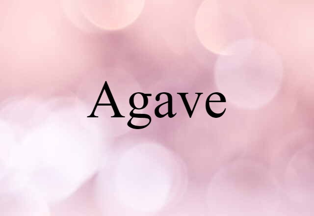 agave