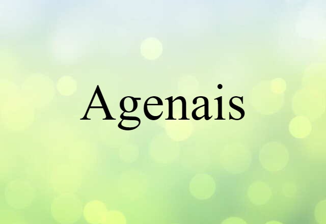 Agenais (noun) Definition, Meaning & Examples