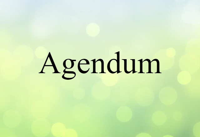 Agendum (noun) Definition, Meaning & Examples