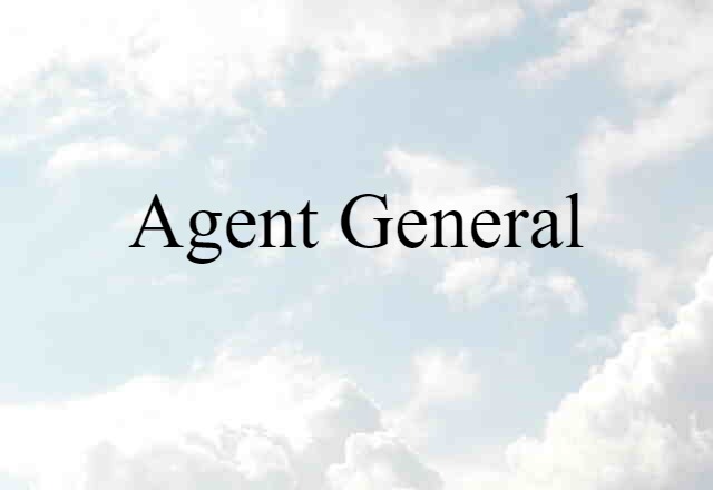 Agent-general (noun) Definition, Meaning & Examples