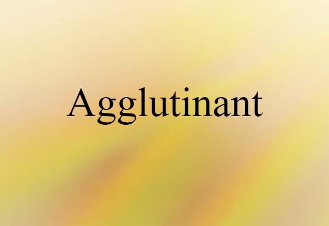 agglutinant