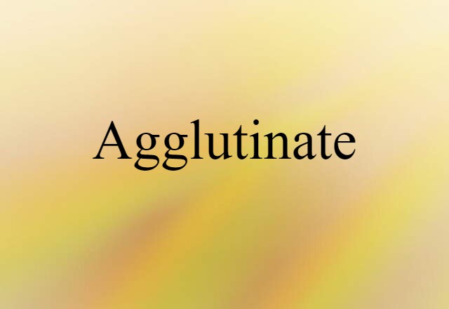 Agglutinate (noun) Definition, Meaning & Examples