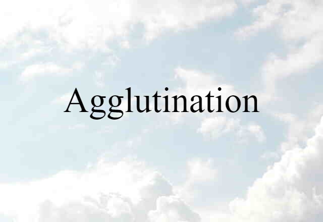 Agglutination (noun) Definition, Meaning & Examples