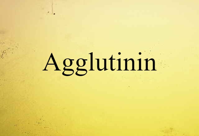 agglutinin