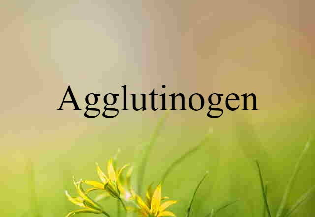 Agglutinogen (noun) Definition, Meaning & Examples