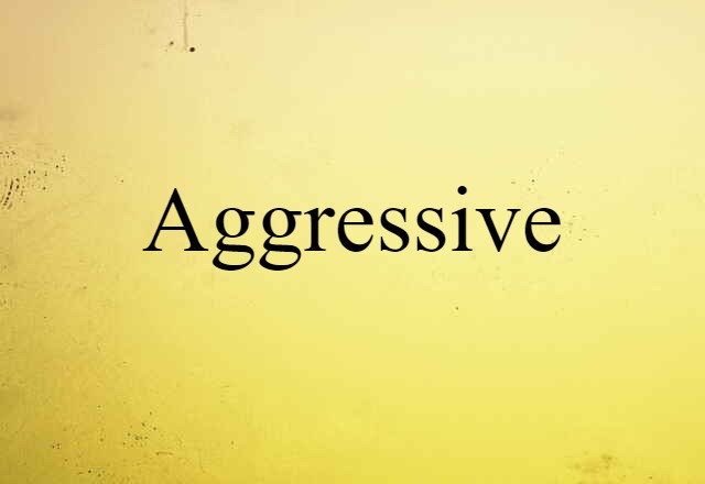 Aggressive (noun) Definition, Meaning & Examples