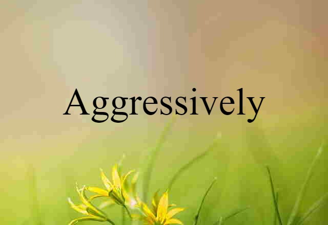 Aggressively (noun) Definition, Meaning & Examples