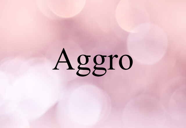 Aggro (noun) Definition, Meaning & Examples