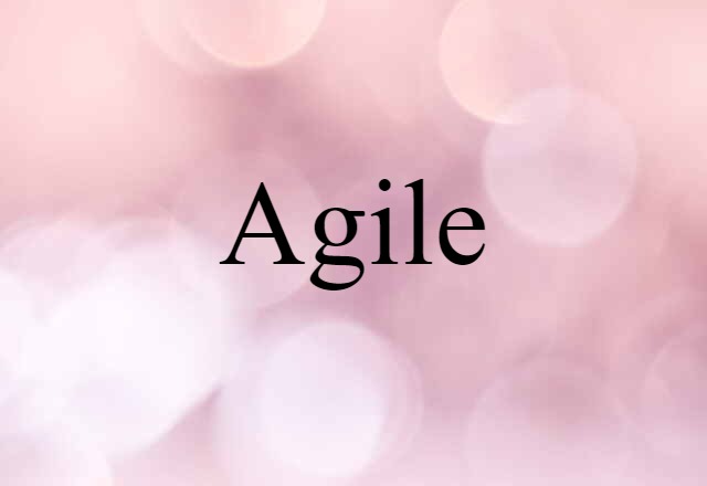 Agile (noun) Definition, Meaning & Examples