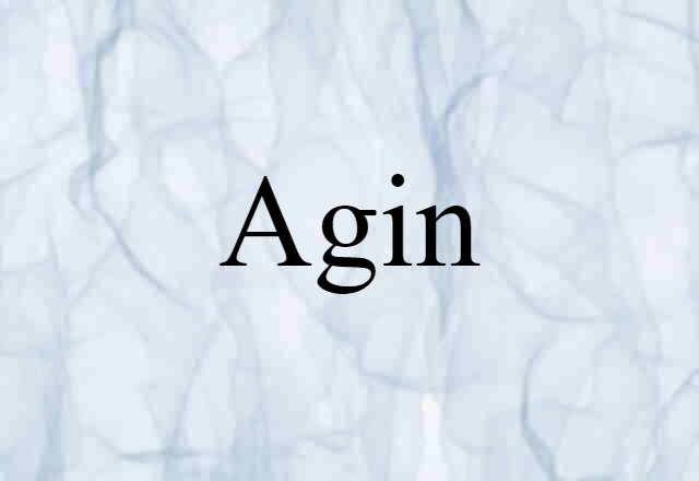 Agin (noun) Definition, Meaning & Examples