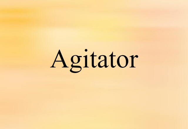 Agitator (noun) Definition, Meaning & Examples