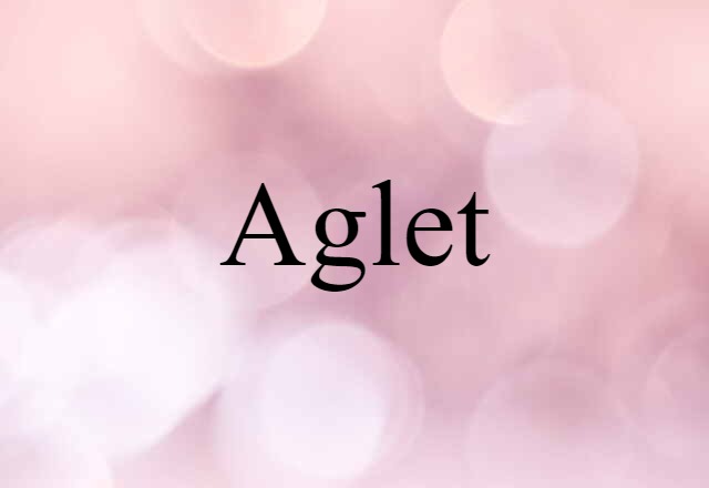 Aglet (noun) Definition, Meaning & Examples