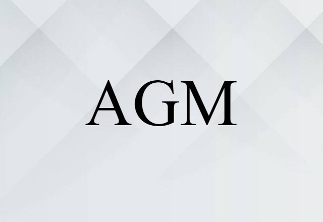 AGM (noun) Definition, Meaning & Examples