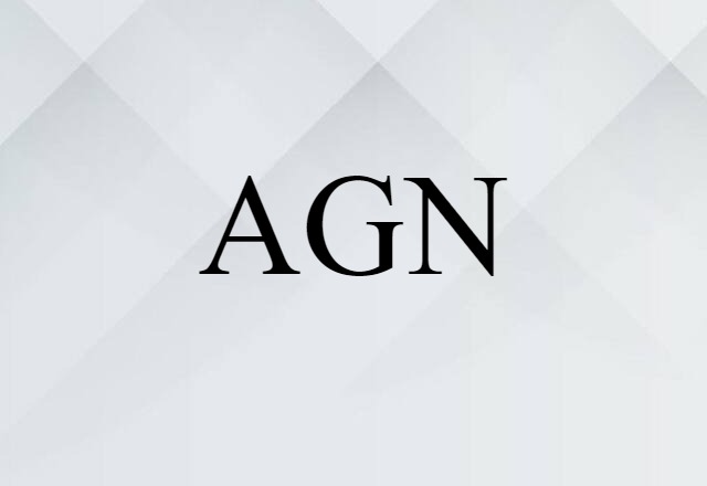 AGN (noun) Definition, Meaning & Examples