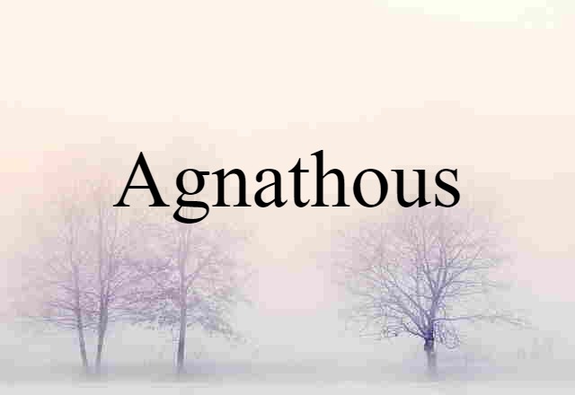 Agnathous (noun) Definition, Meaning & Examples