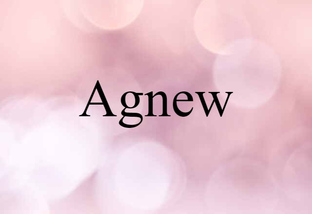 Agnew (noun) Definition, Meaning & Examples