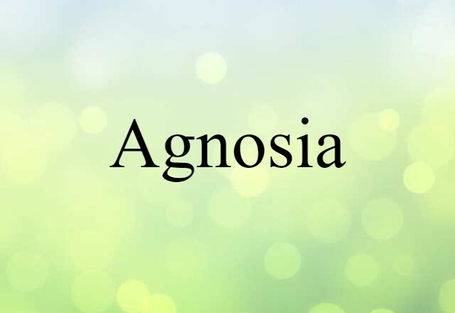 Agnosia (noun) Definition, Meaning & Examples