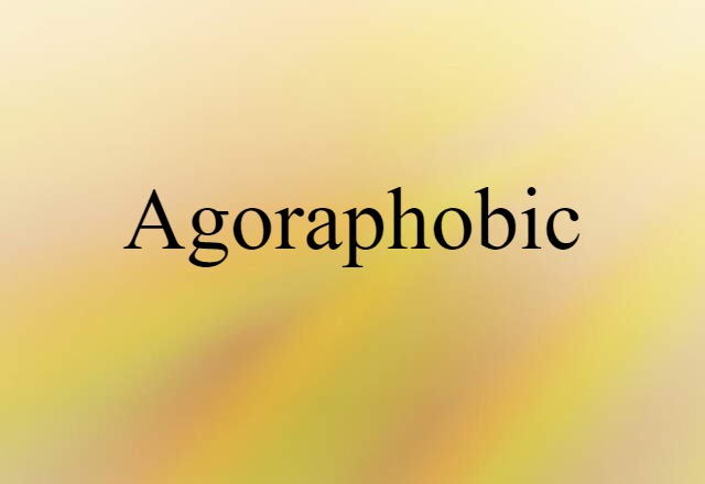 Agoraphobic (noun) Definition, Meaning & Examples