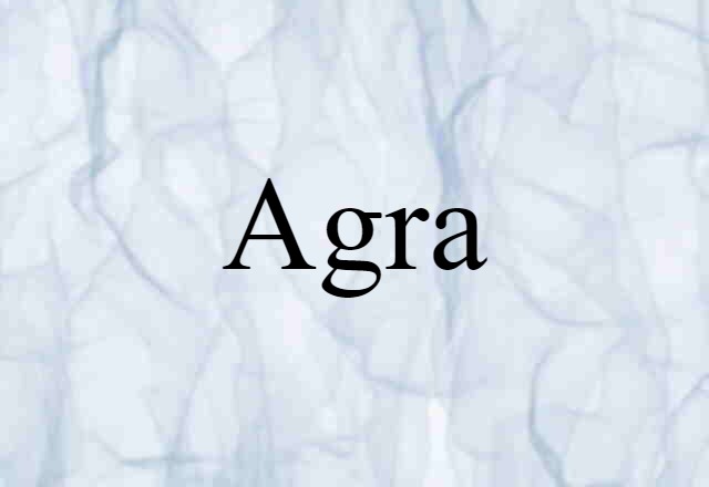 Agra (noun) Definition, Meaning & Examples