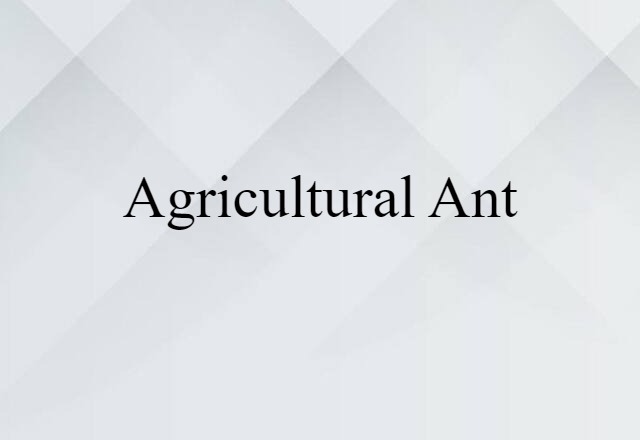 agricultural ant