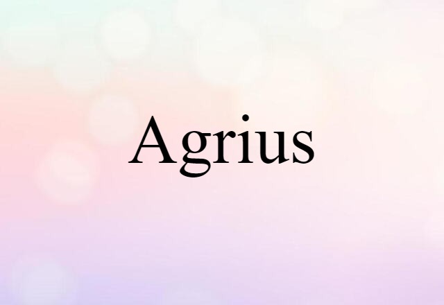 Agrius (noun) Definition, Meaning & Examples