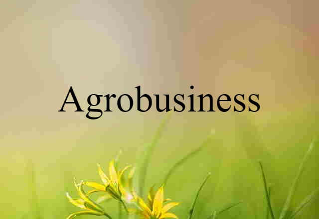 Agrobusiness (noun) Definition, Meaning & Examples