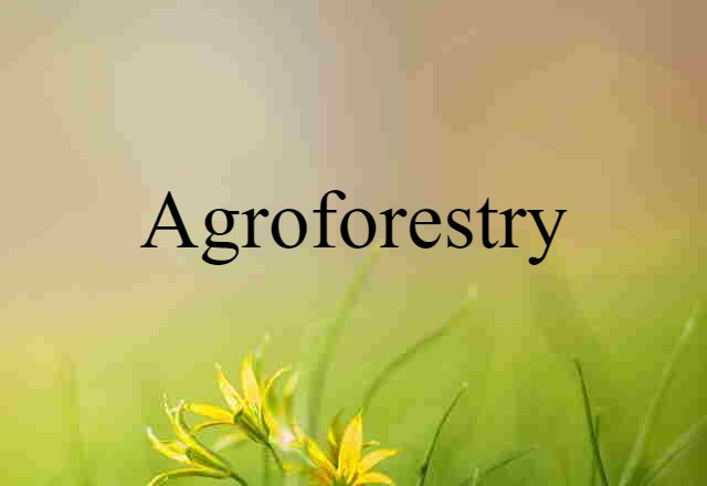 agroforestry