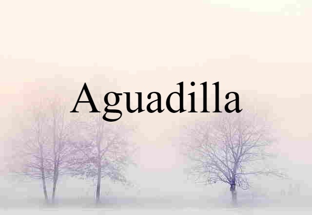 Aguadilla (noun) Definition, Meaning & Examples