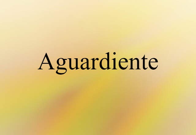 Aguardiente (noun) Definition, Meaning & Examples