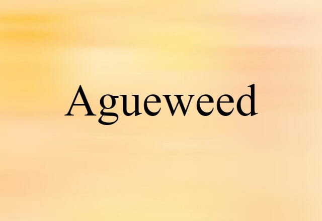 Agueweed (noun) Definition, Meaning & Examples