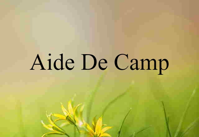 Aide De Camp (noun) Definition, Meaning & Examples