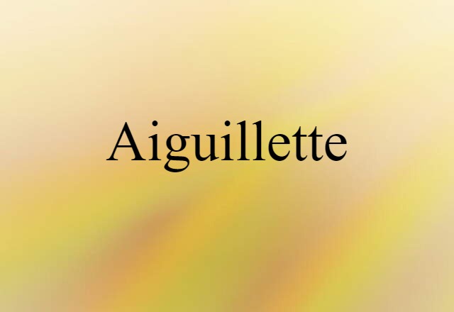 aiguillette