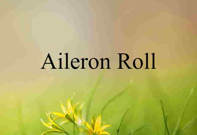 Aileron Roll (noun) Definition, Meaning & Examples