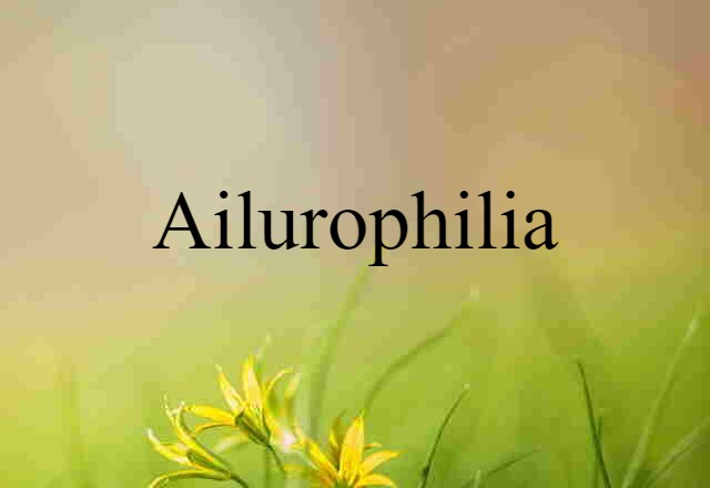 Ailurophilia (noun) Definition, Meaning & Examples