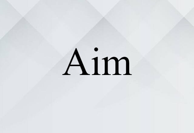 Aim (noun) Definition, Meaning & Examples