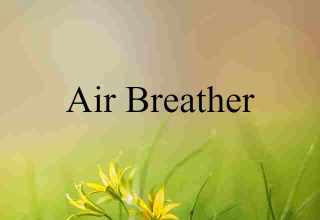 air-breather