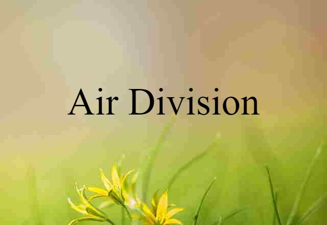 Air Division (noun) Definition, Meaning & Examples